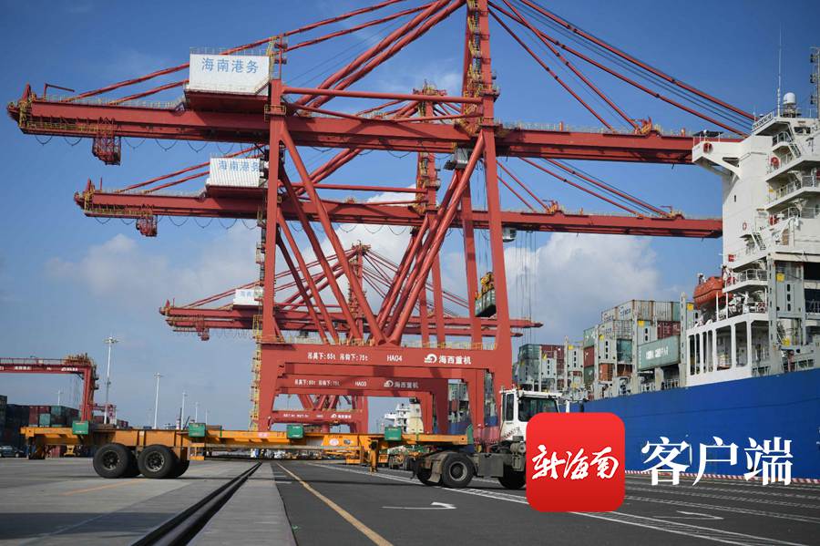 洋浦|自贸港政策红利多 海南洋浦紧抓机遇再出发