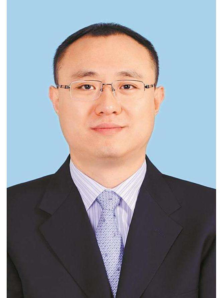 张阳当选为海库市的市长